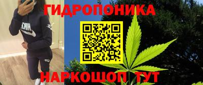 мяу мяу мука Заволжье